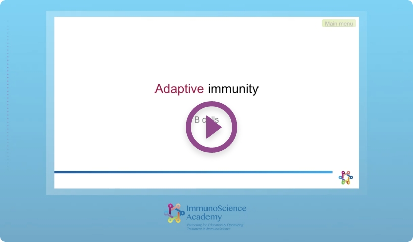 The adaptive immune response, with a focus on B cells and antibodies