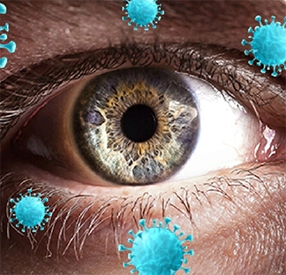 COVID-19 in the eyes of an immunologist