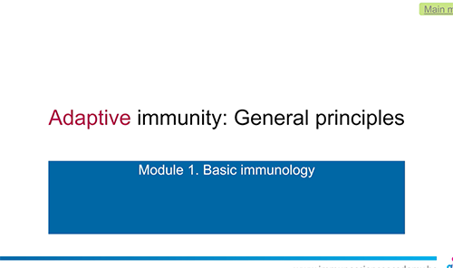 The Adaptive Immune System