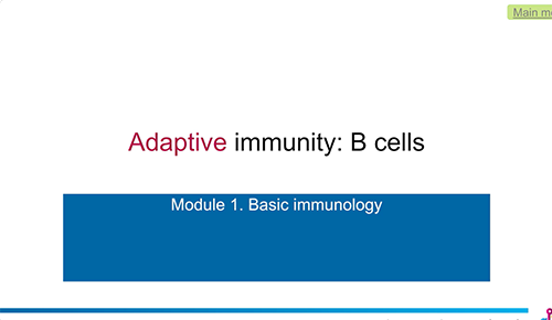 The Adaptive Immune System, B-cells