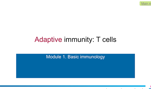 The Adaptive Immune System, T-cells