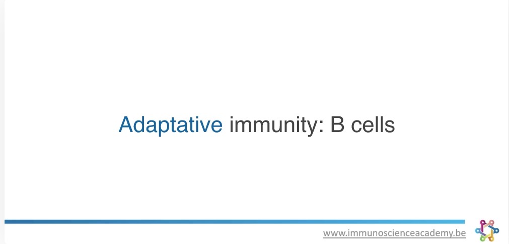 The Adaptive Immune System, B-cells