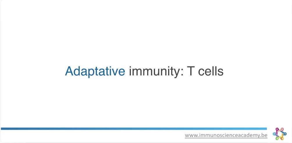 The Adaptive Immune System, T-cells