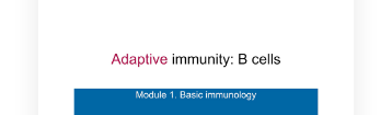 The Adaptive Immune System, B-cells